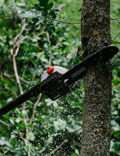 Elagueuses Sur Perche Télescopiques